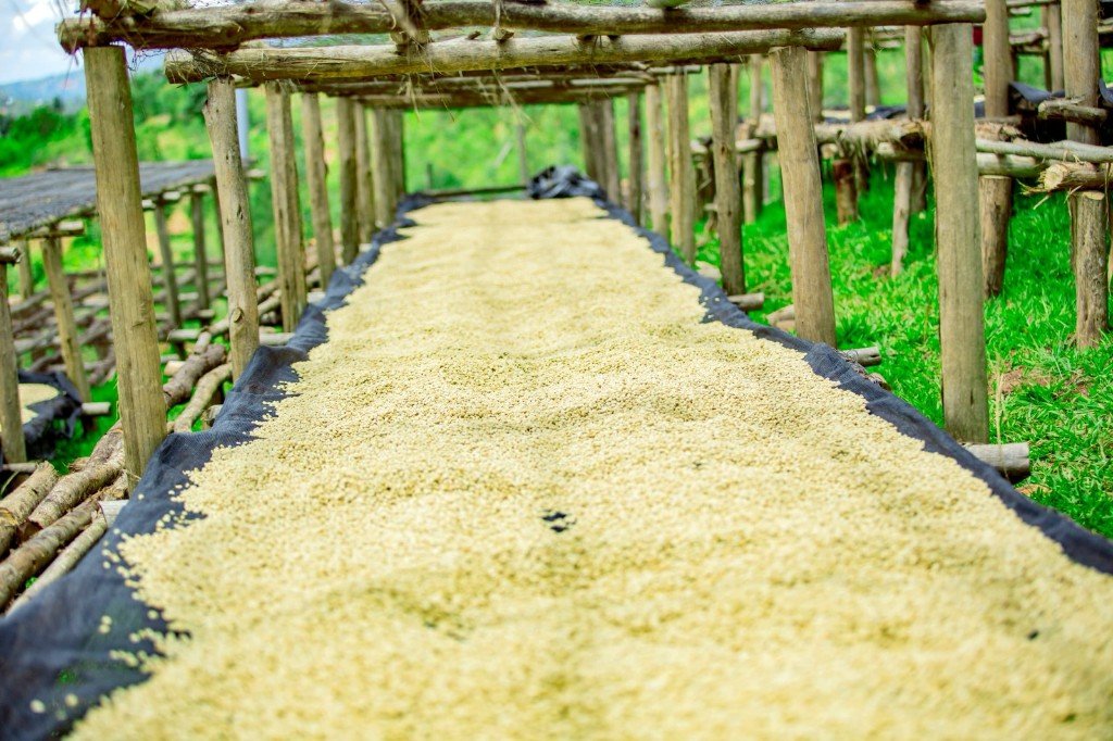 GMAC Supports Gasange Coffee Farmers Cooperative by providing  Ejo Heza pension planning support