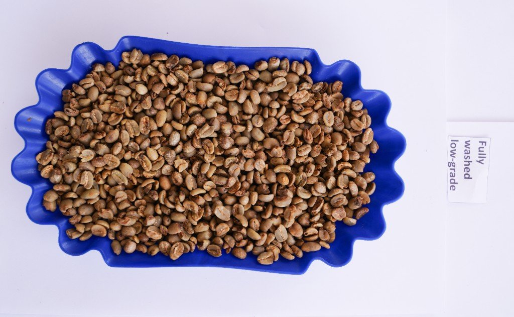 Fully Washed Low Grade sample card