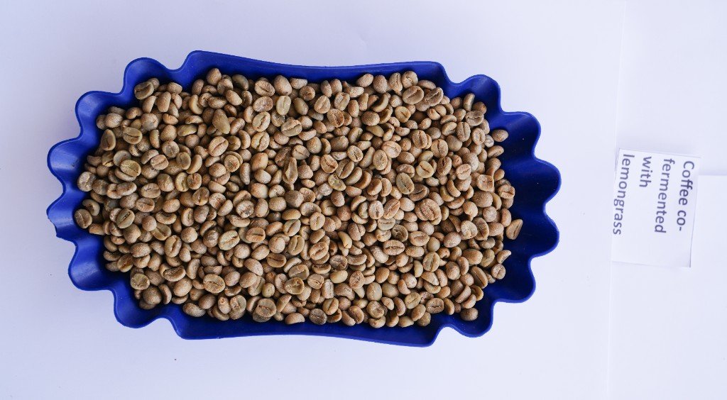 Coffee Co-fermented with Lemongrass sample card