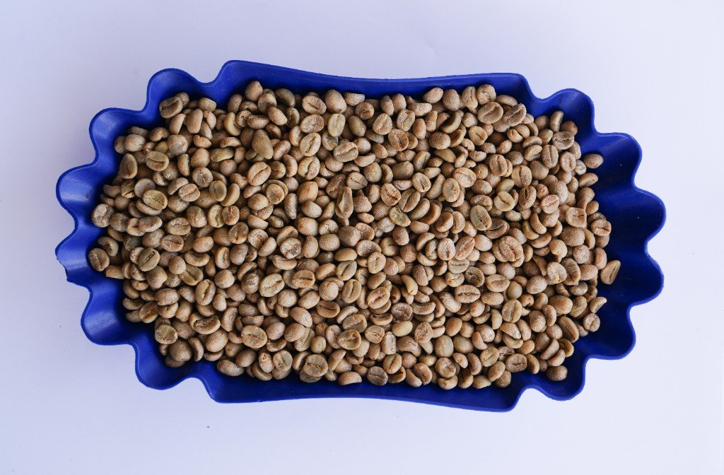 Coffee Co-fermented with Lemongrass